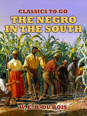 cover image of The Negro In the South